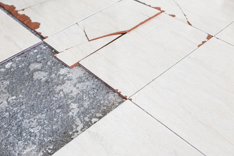 Chipped Tile Repair